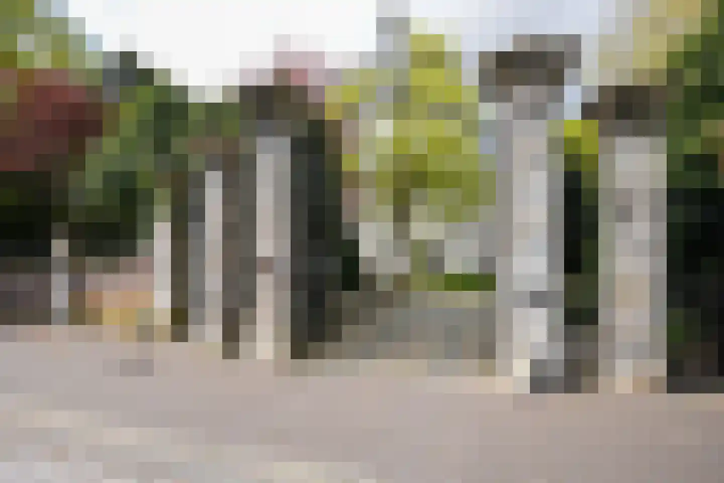 Sjwats Jris 42 Vaals thumbnail 18