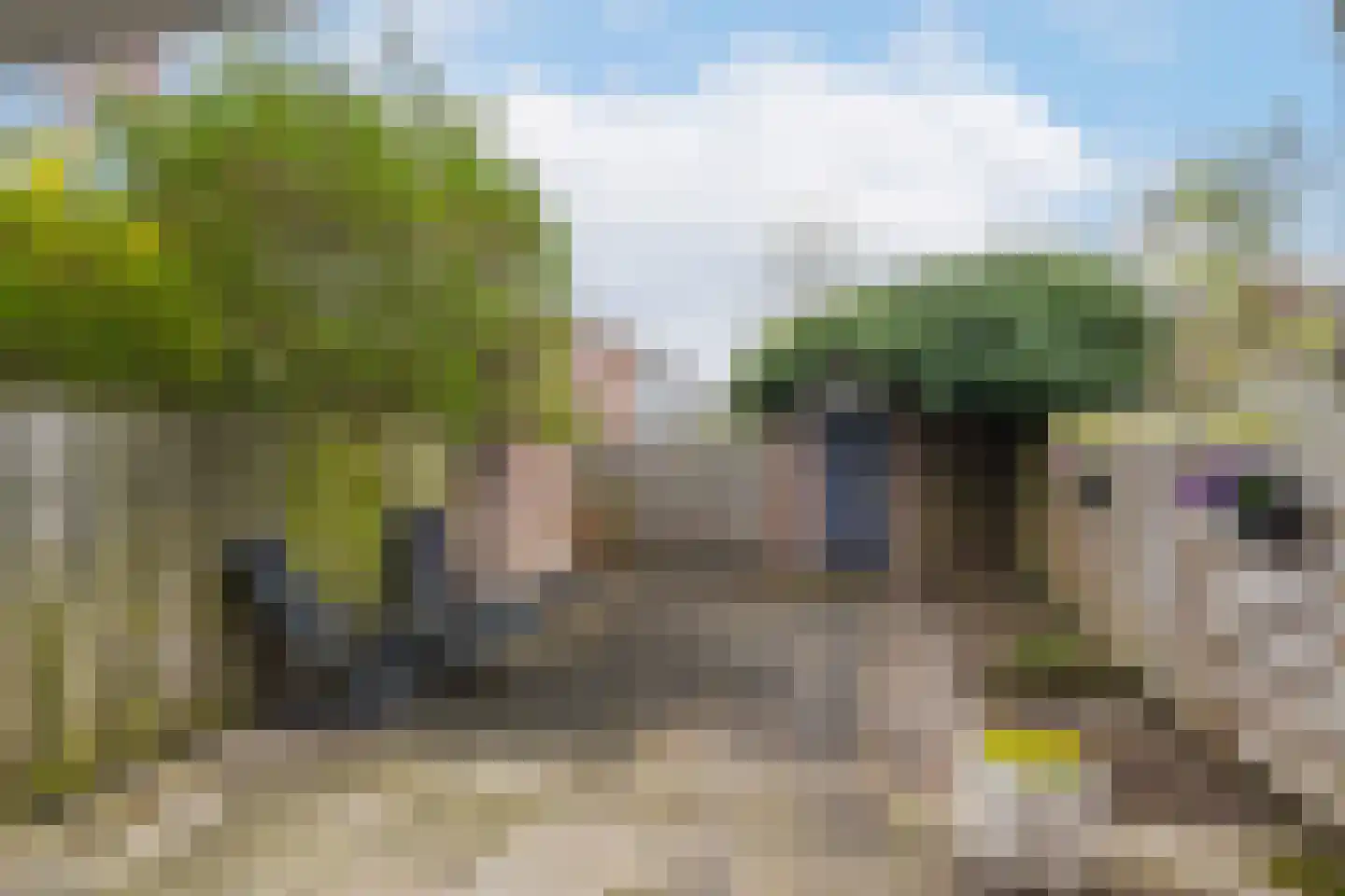 Skagenerf 16 Rotterdam thumbnail 30