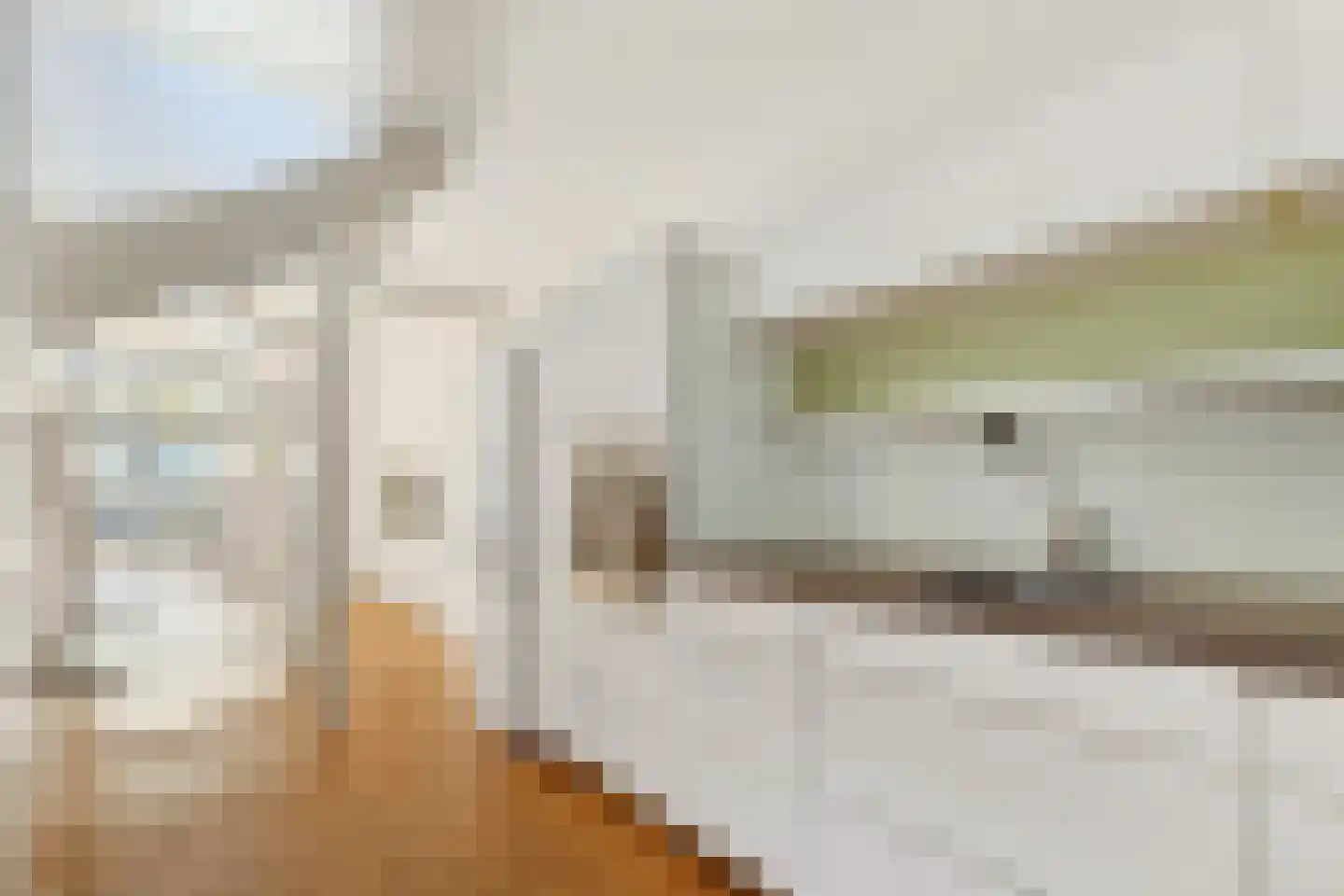 Skager Rak 28 Zaandam thumbnail 17