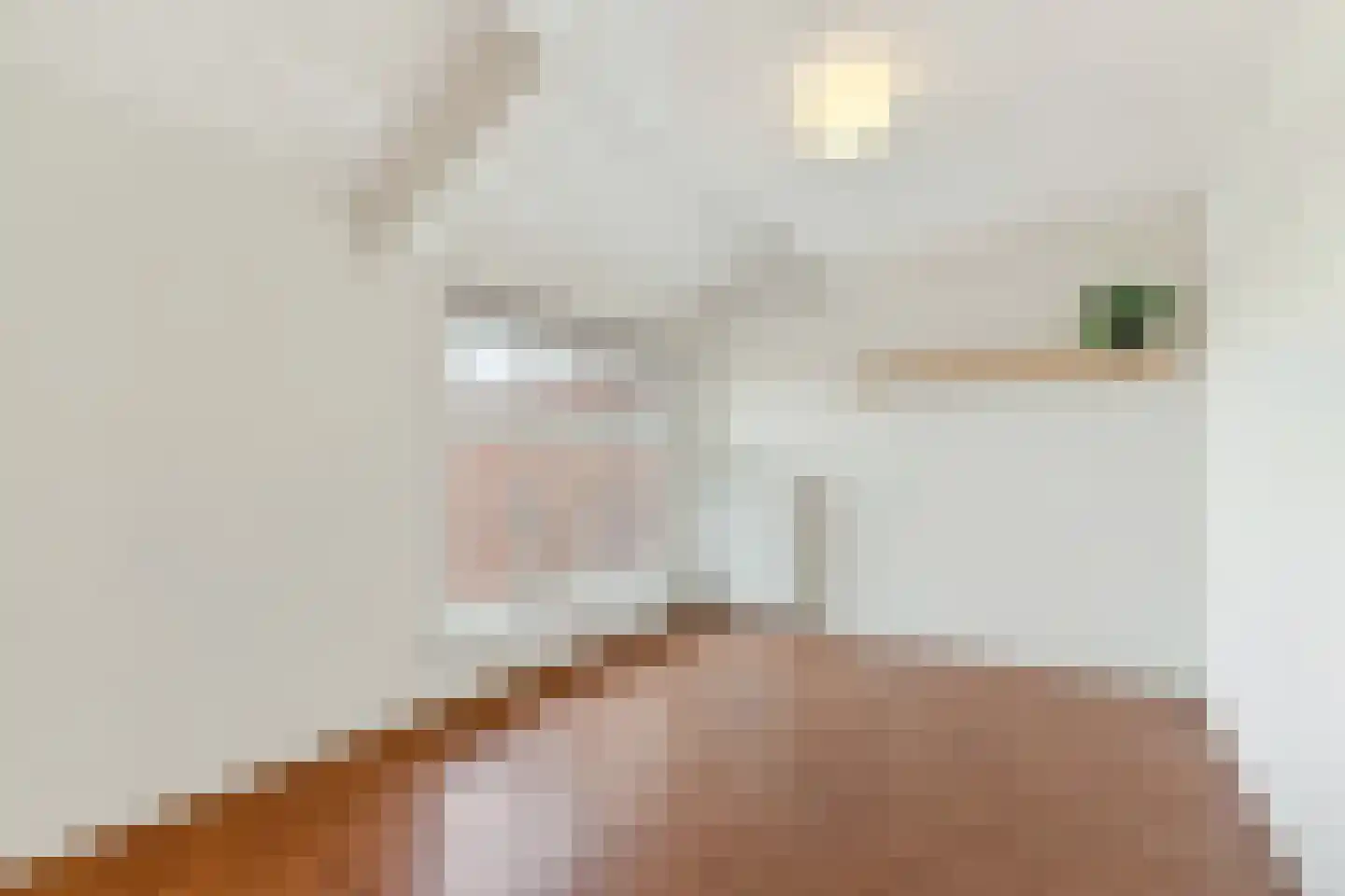 Skager Rak 28 Zaandam thumbnail 18