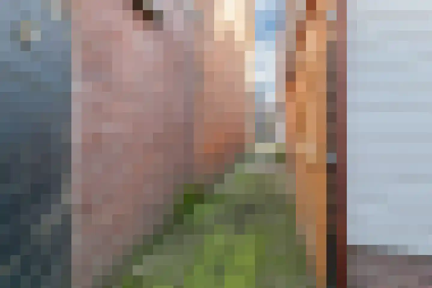 Skager Rak 28 Zaandam thumbnail 35