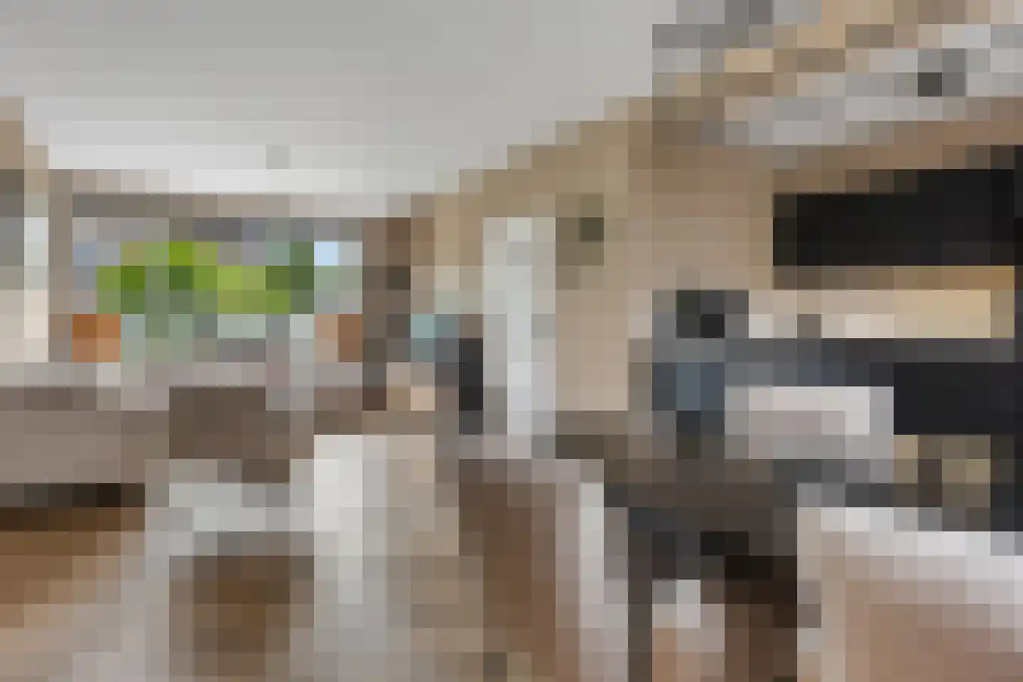 Skager Rak 57 Veendam thumbnail 10