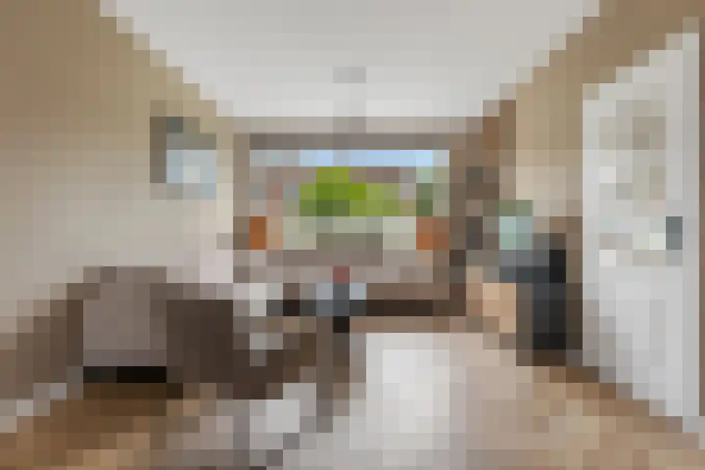 Skager Rak 57 Veendam thumbnail 8