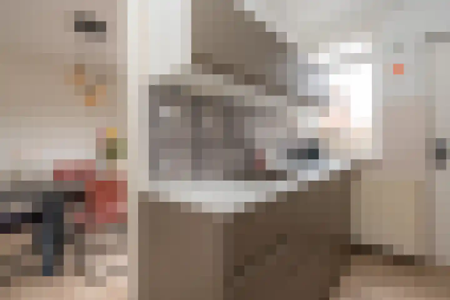 Skager Rak 81 Veendam thumbnail 12