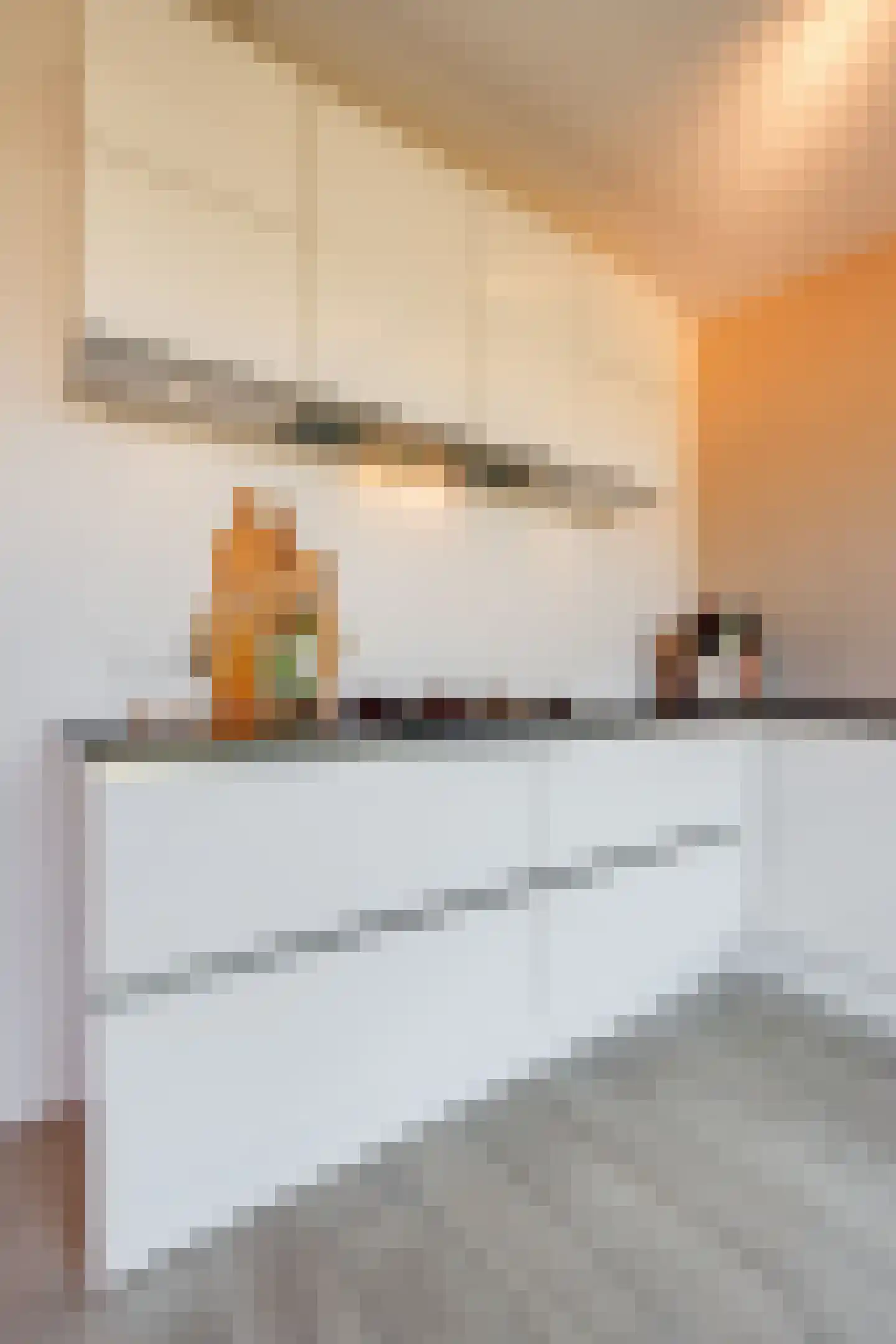 Skagerrak 107 Hoofddorp thumbnail 11