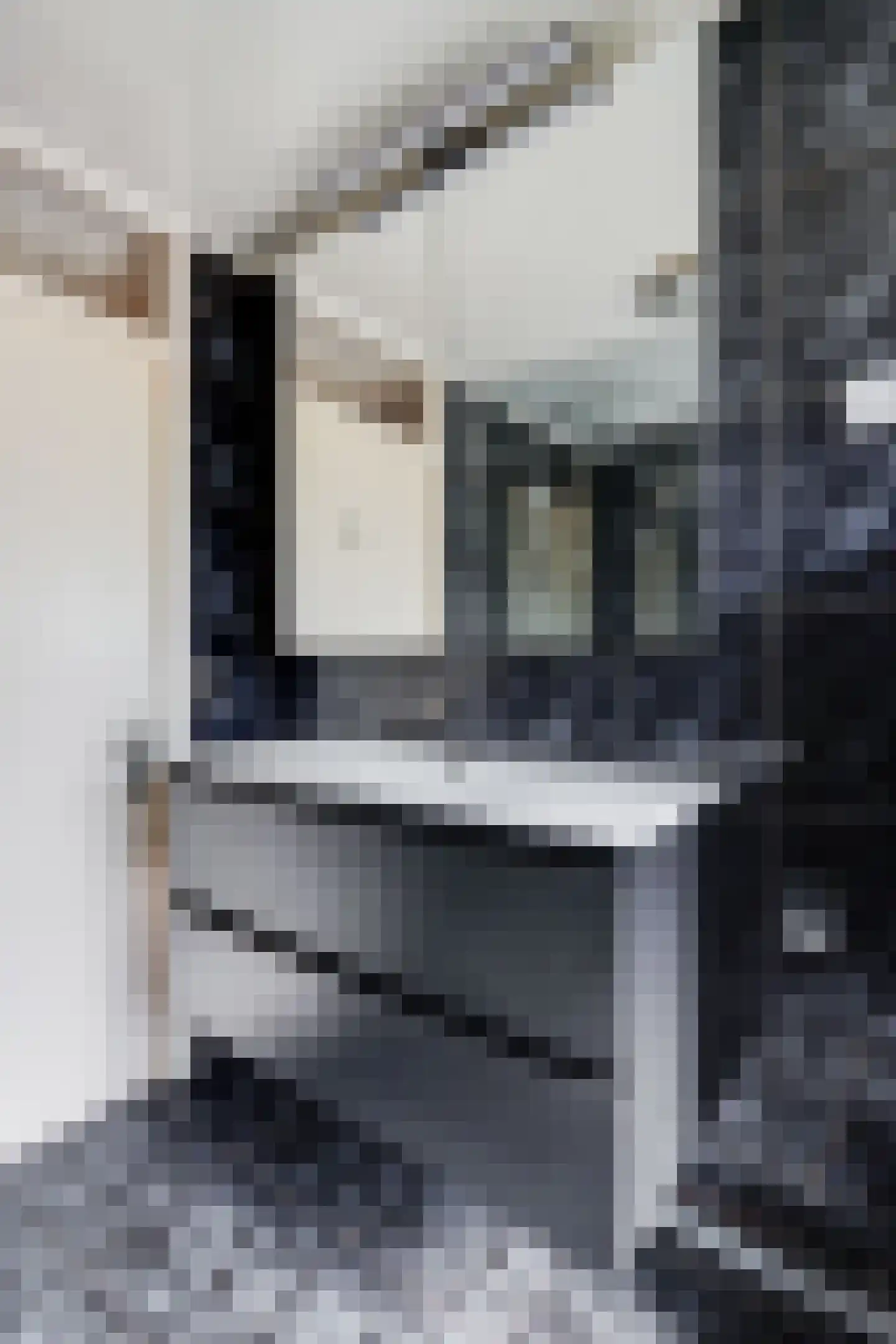 Skagerrak 107 Hoofddorp thumbnail 24