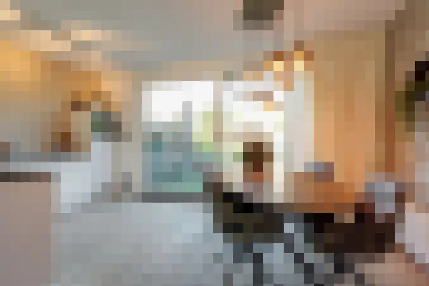 Skagerrak 107 Hoofddorp thumbnail 8