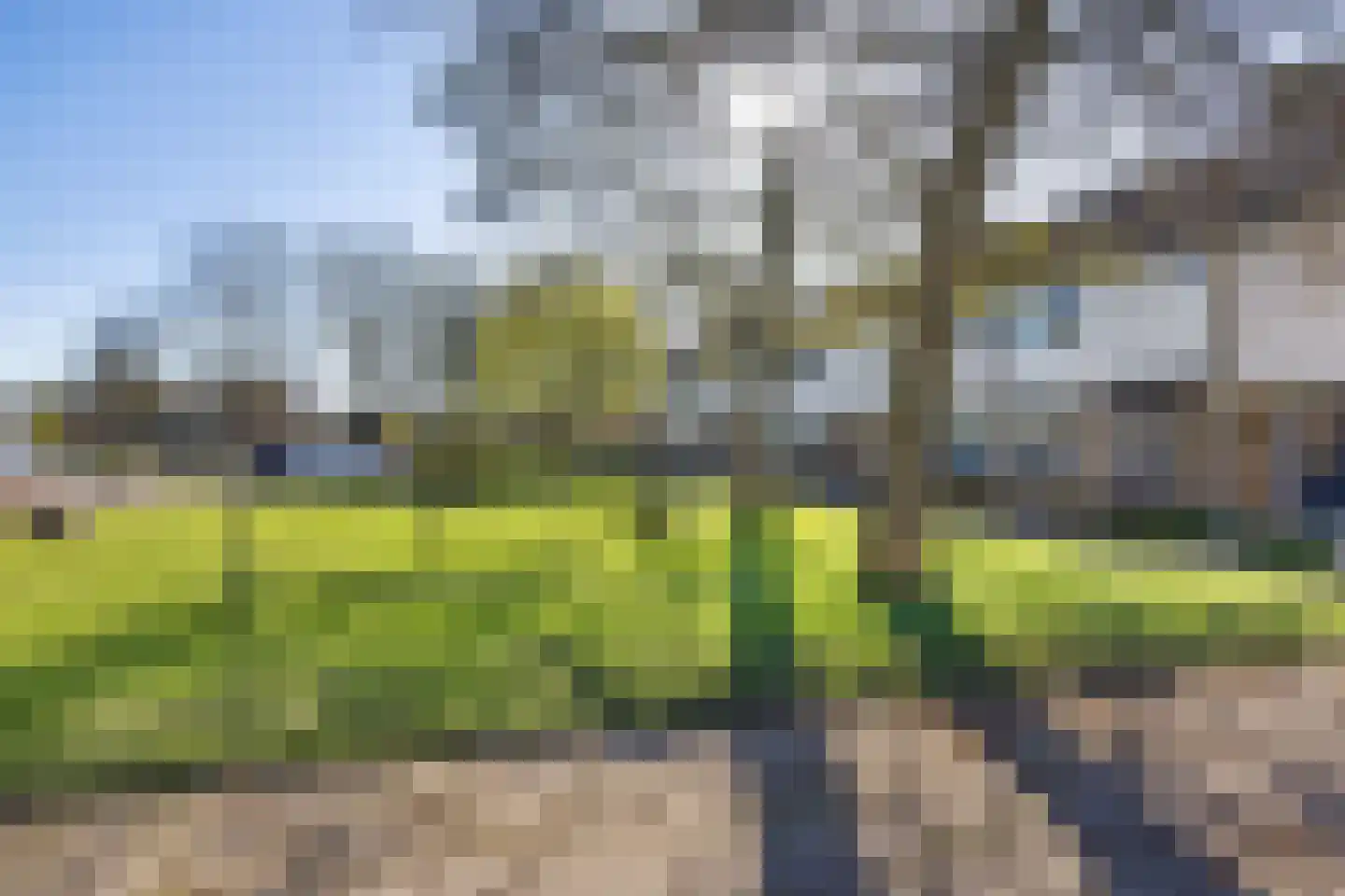 Skagerrak 12 Delfzijl thumbnail 8
