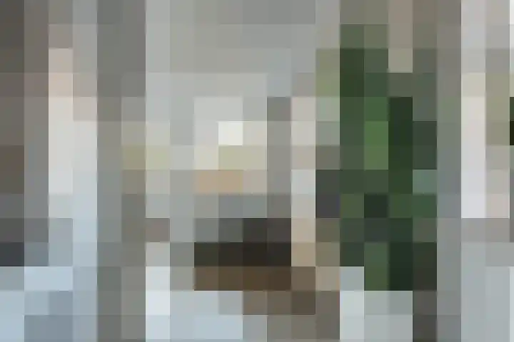 Skagerrak 154 Hoofddorp thumbnail 23