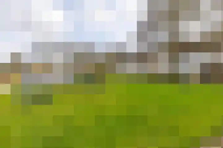 Skagerrak 32 Delfzijl thumbnail 46
