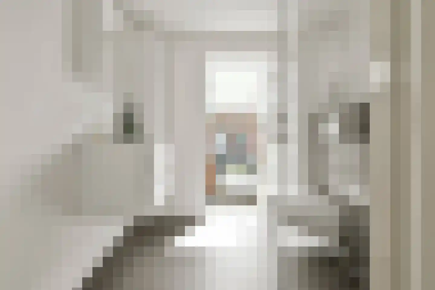 Skagerrak 45 Hoofddorp thumbnail 35