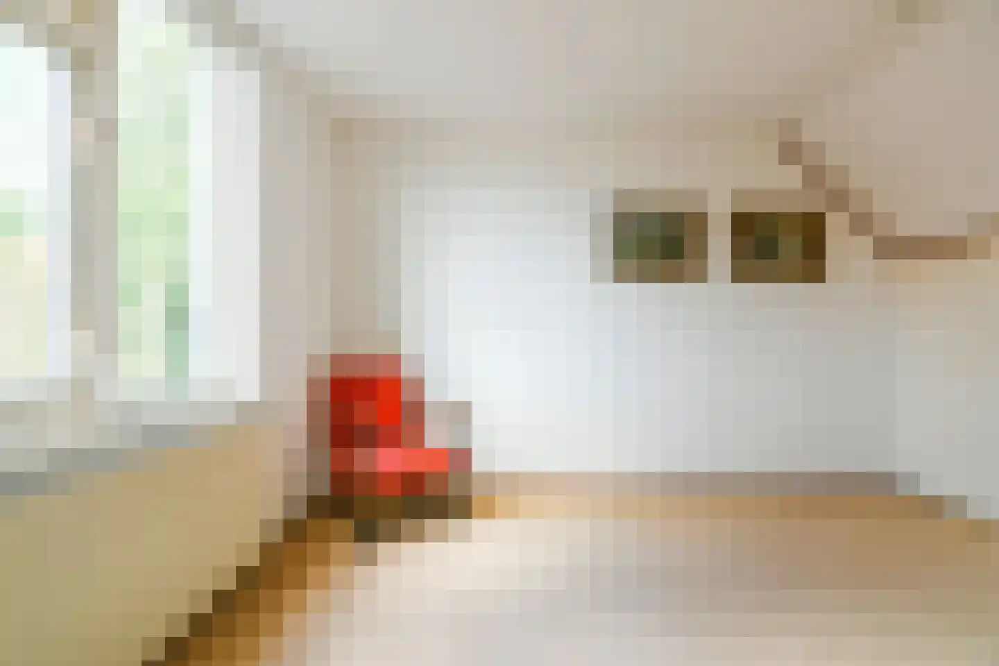 Skagerrak 45 Hoofddorp thumbnail 39