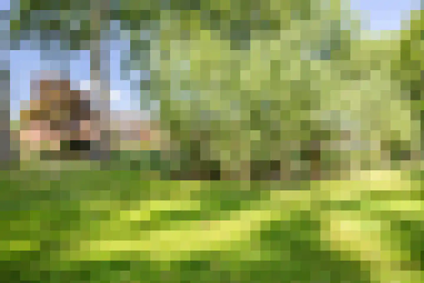 Skagerrak 45 Hoofddorp thumbnail 43