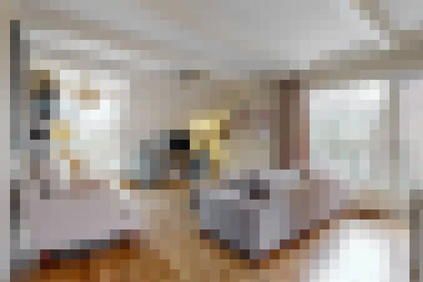 Skagerrak 9 Hoofddorp thumbnail 4