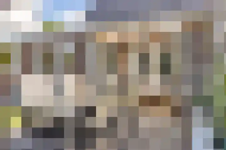 Skâns 6 Rottum thumbnail 12