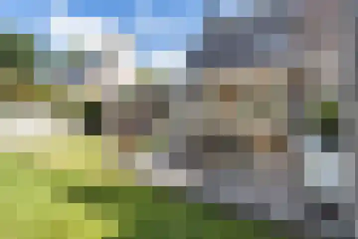 Skâns 6 Rottum thumbnail 7