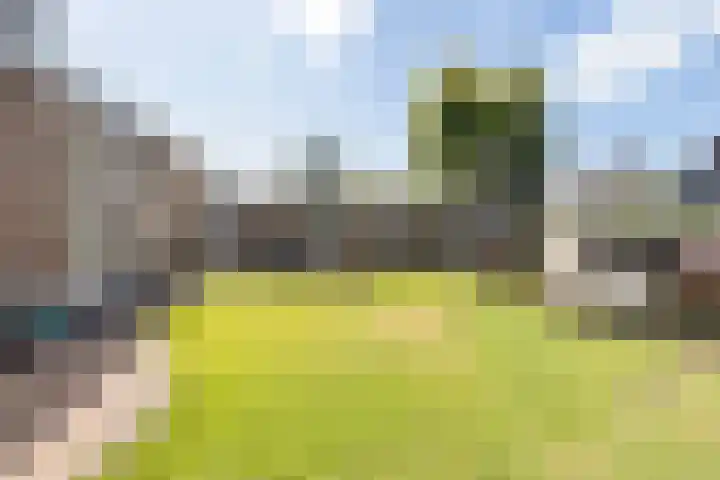 Skâns 6 Rottum thumbnail 8