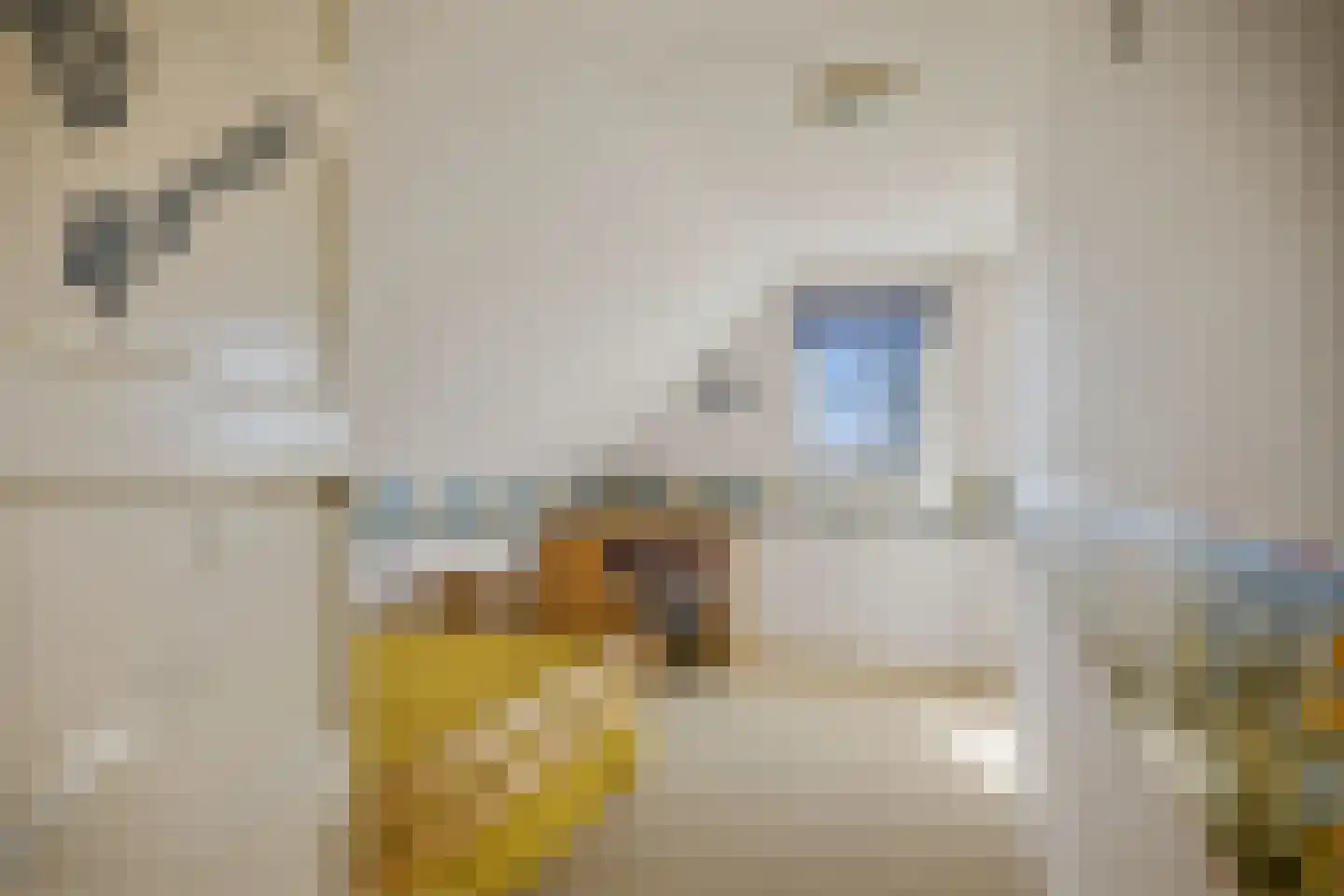 Skânserwei 22 Eanjum thumbnail 17