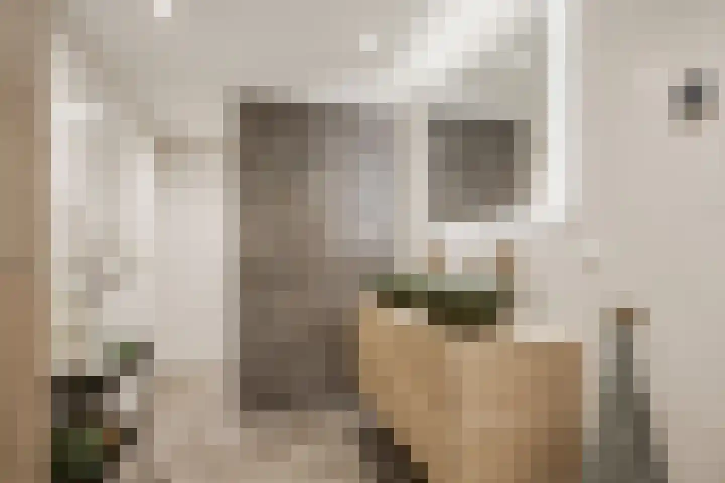 Skânserwei 22 Eanjum thumbnail 27
