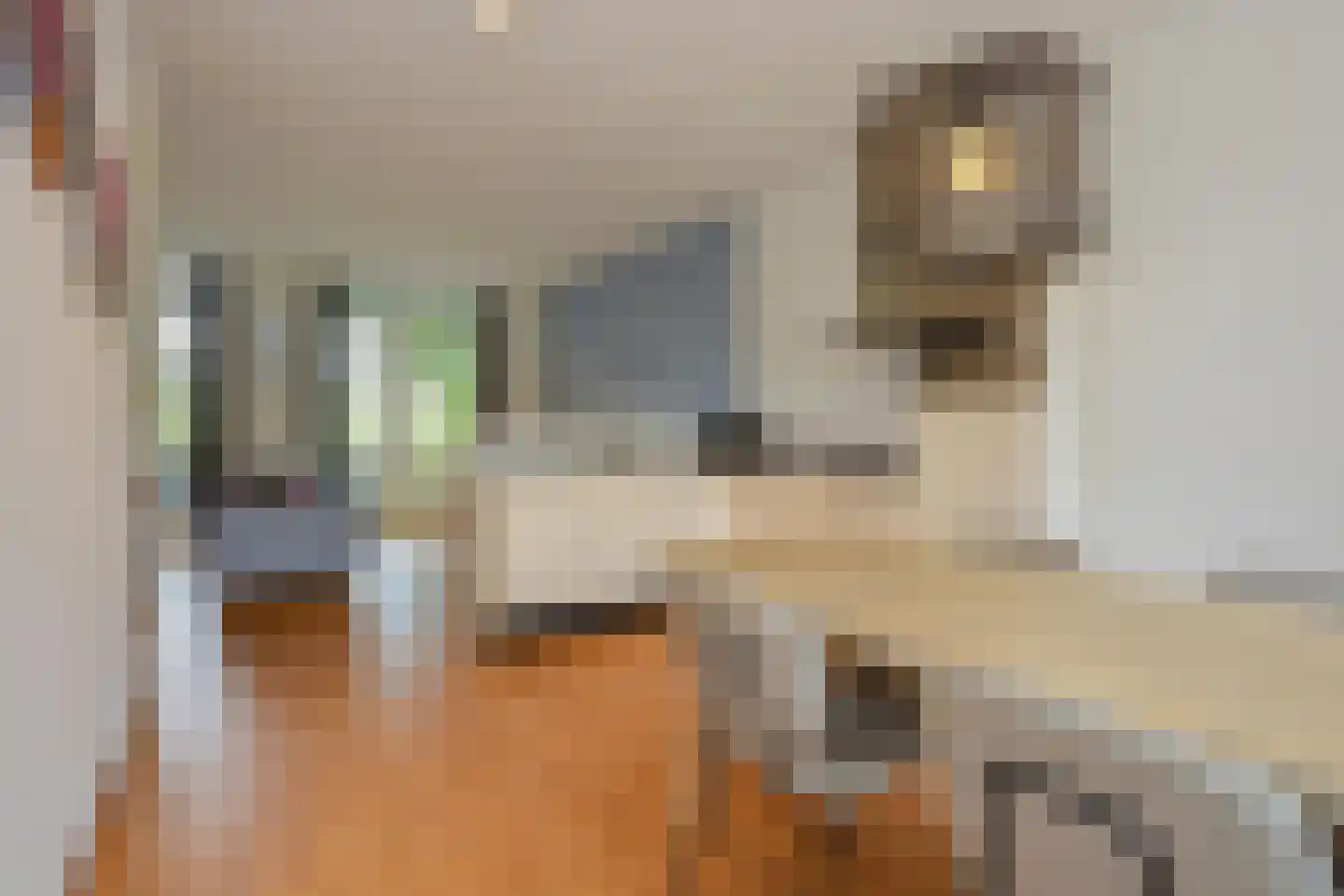 Skânserwei 28 207 Eanjum thumbnail 10