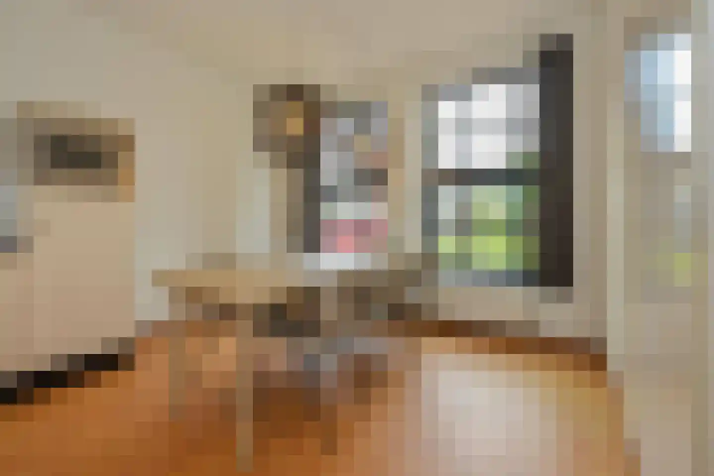 Skânserwei 28 207 Eanjum thumbnail 12