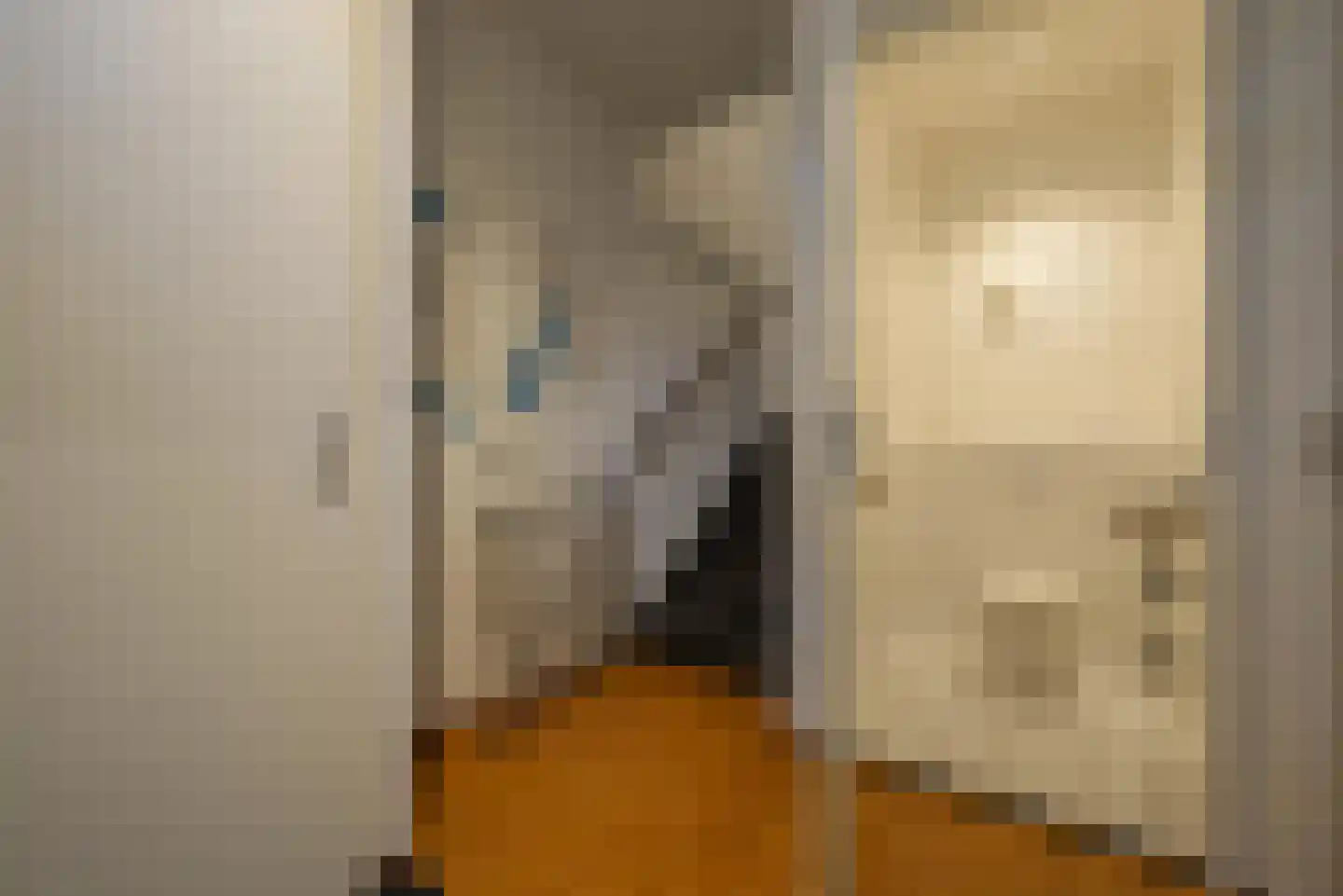 Skânserwei 28 207 Eanjum thumbnail 14