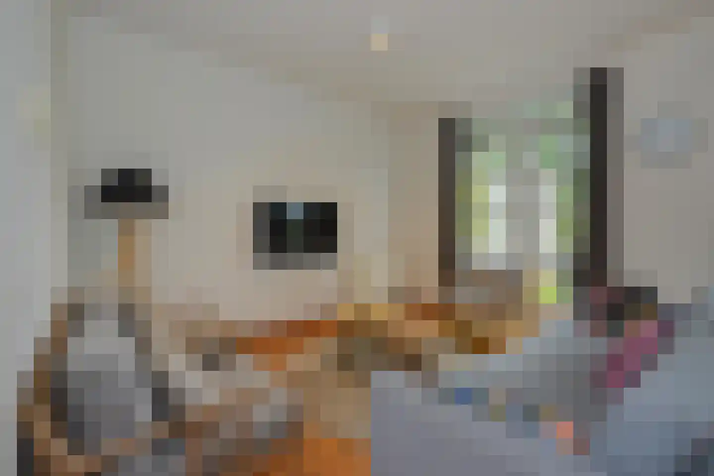 Skânserwei 28 207 Eanjum thumbnail 5