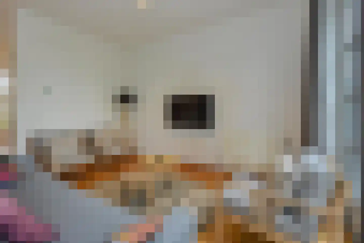 Skânserwei 28 207 Eanjum thumbnail 6