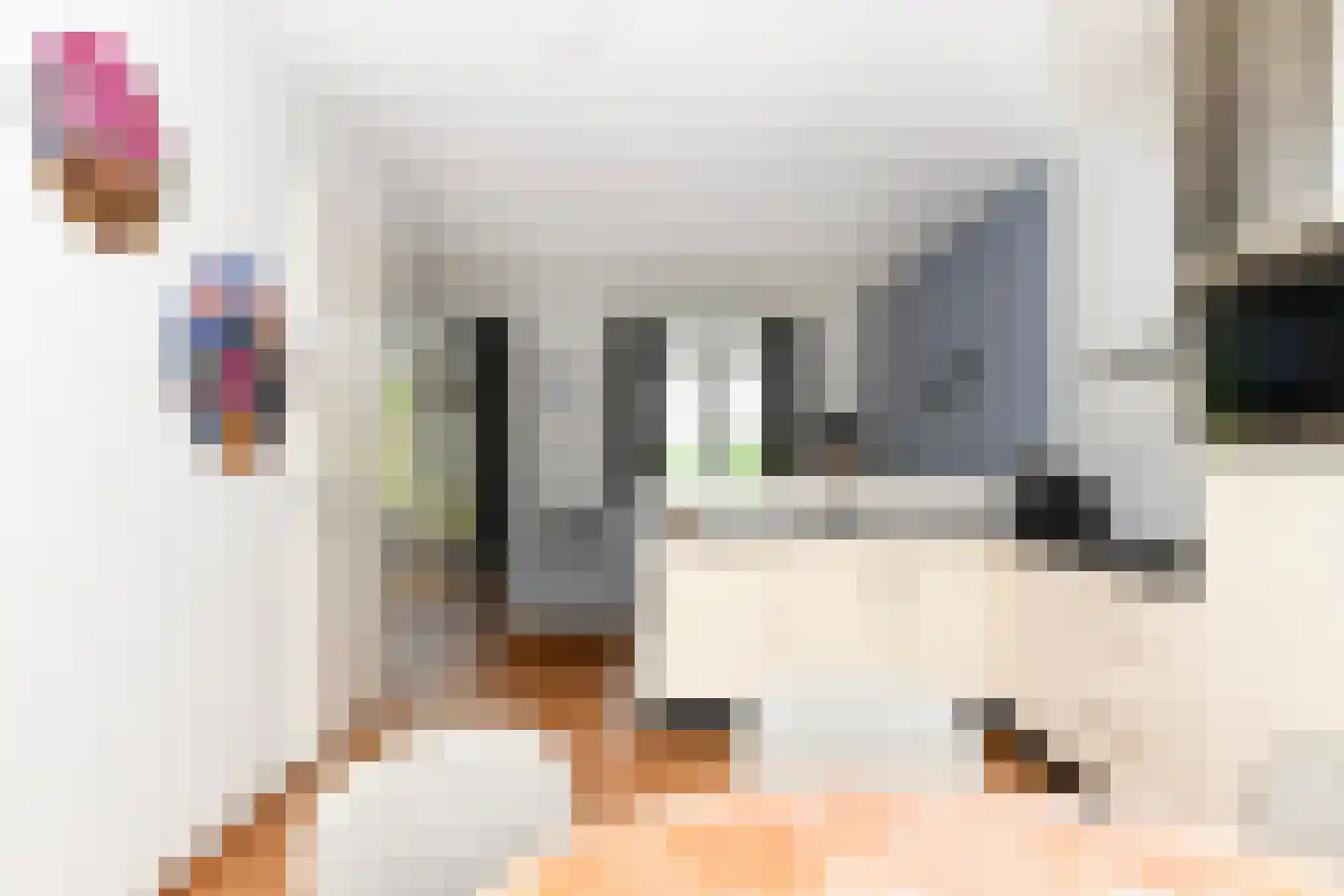 Skânserwei 28 220 Eanjum thumbnail 12