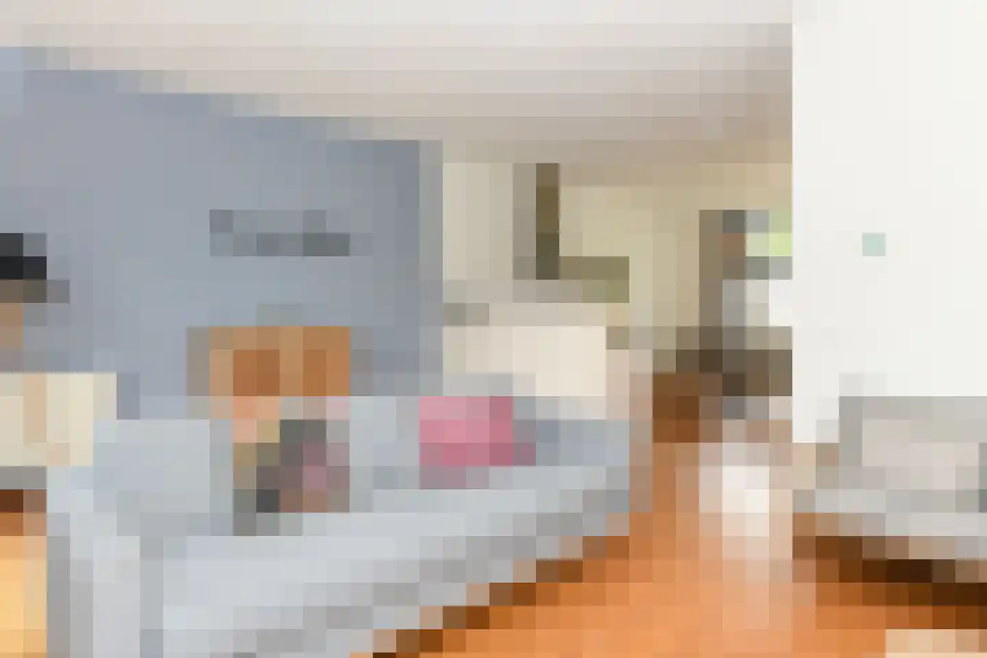 Skânserwei 28 220 Eanjum thumbnail 7