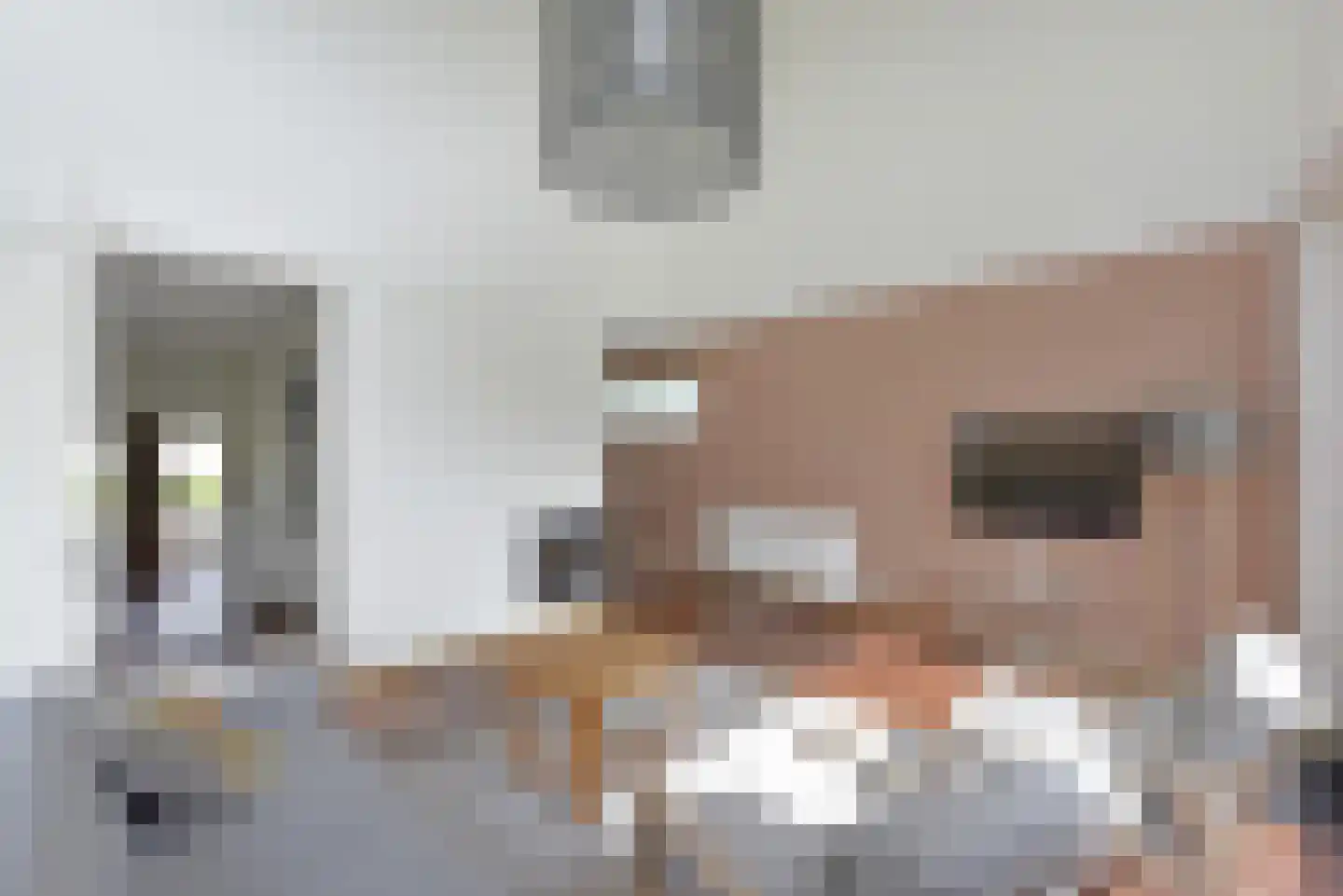 Skânserwei 28 602 Eanjum thumbnail 7