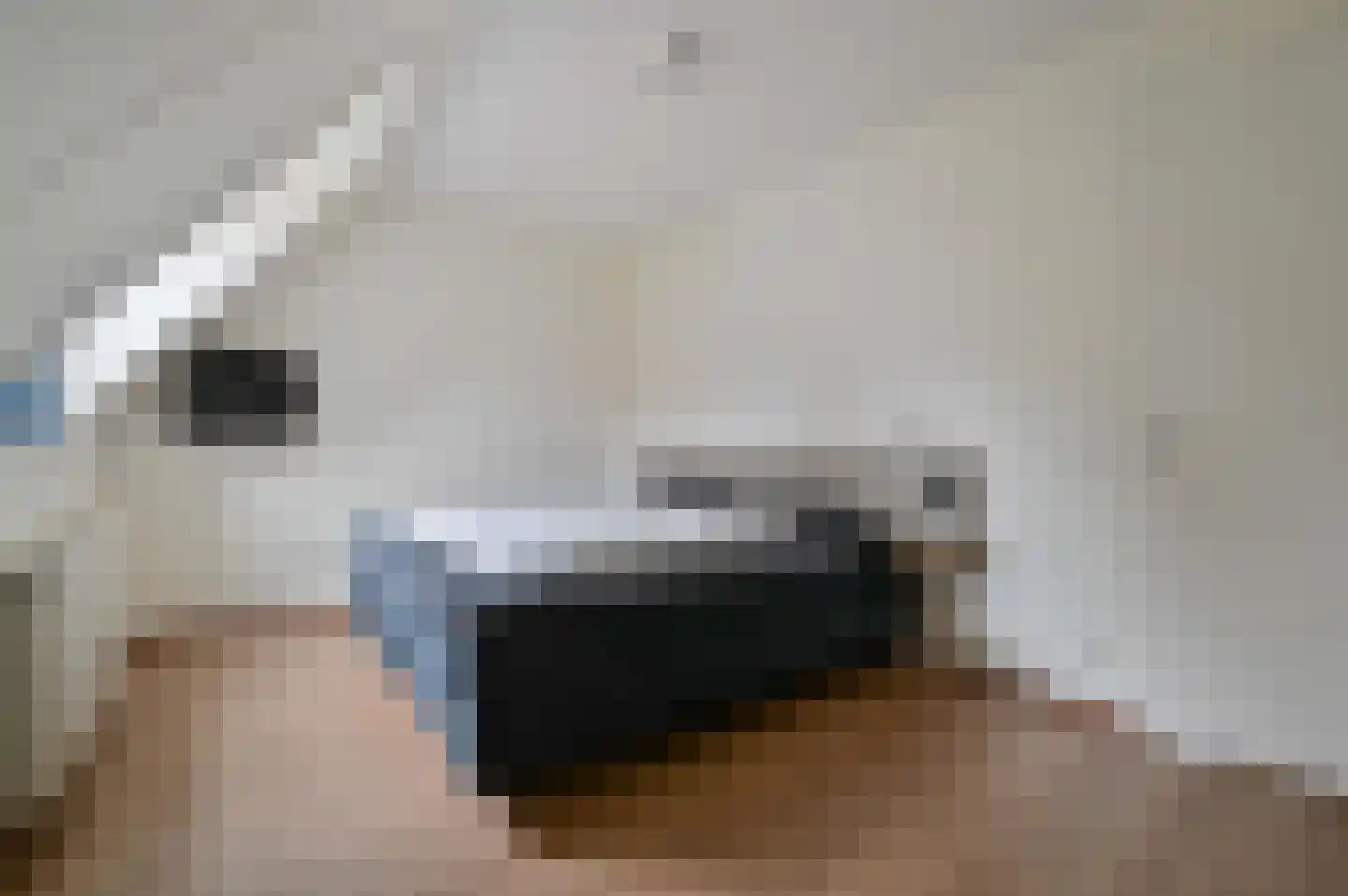 Skânserwei 28 A Eanjum thumbnail 13