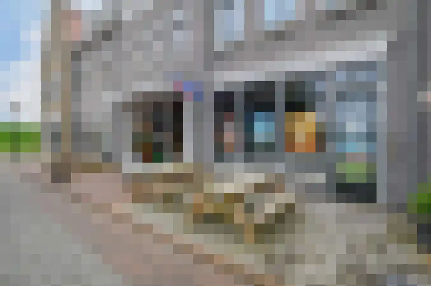 Skânserwei 28 A Eanjum thumbnail 33
