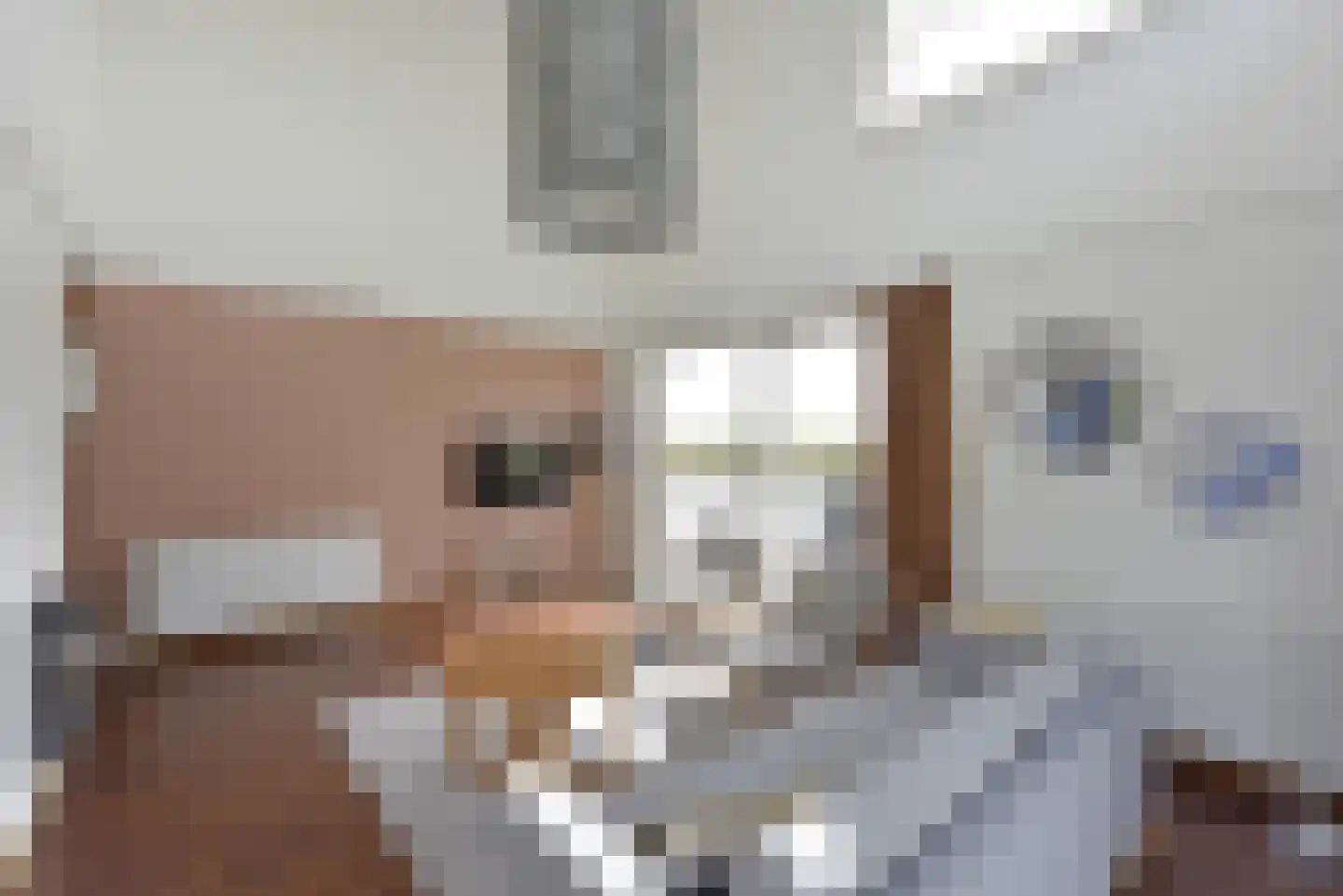Skânserwei 28 A Eanjum thumbnail 6