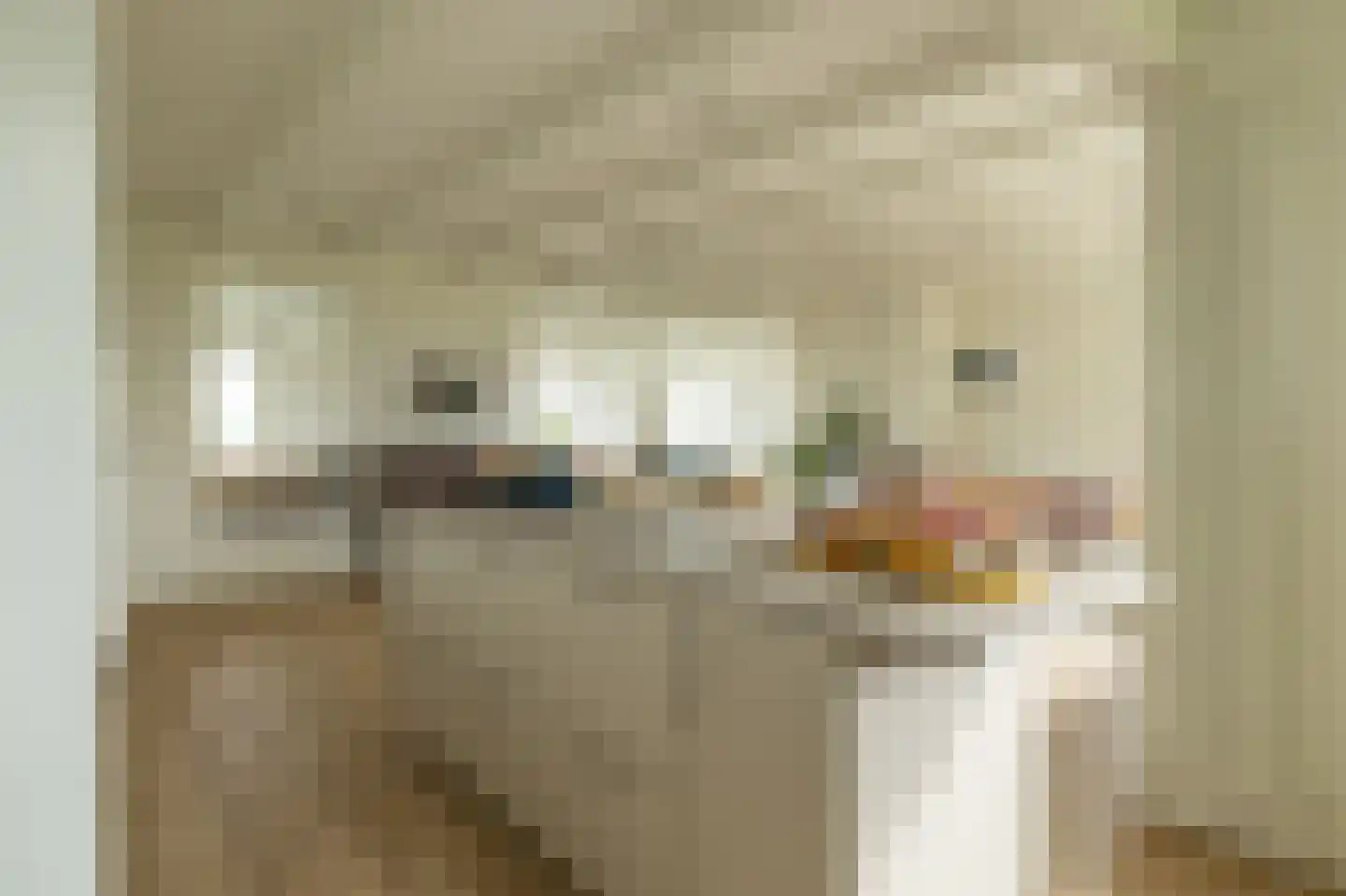 Skarl 21 Warns thumbnail 22