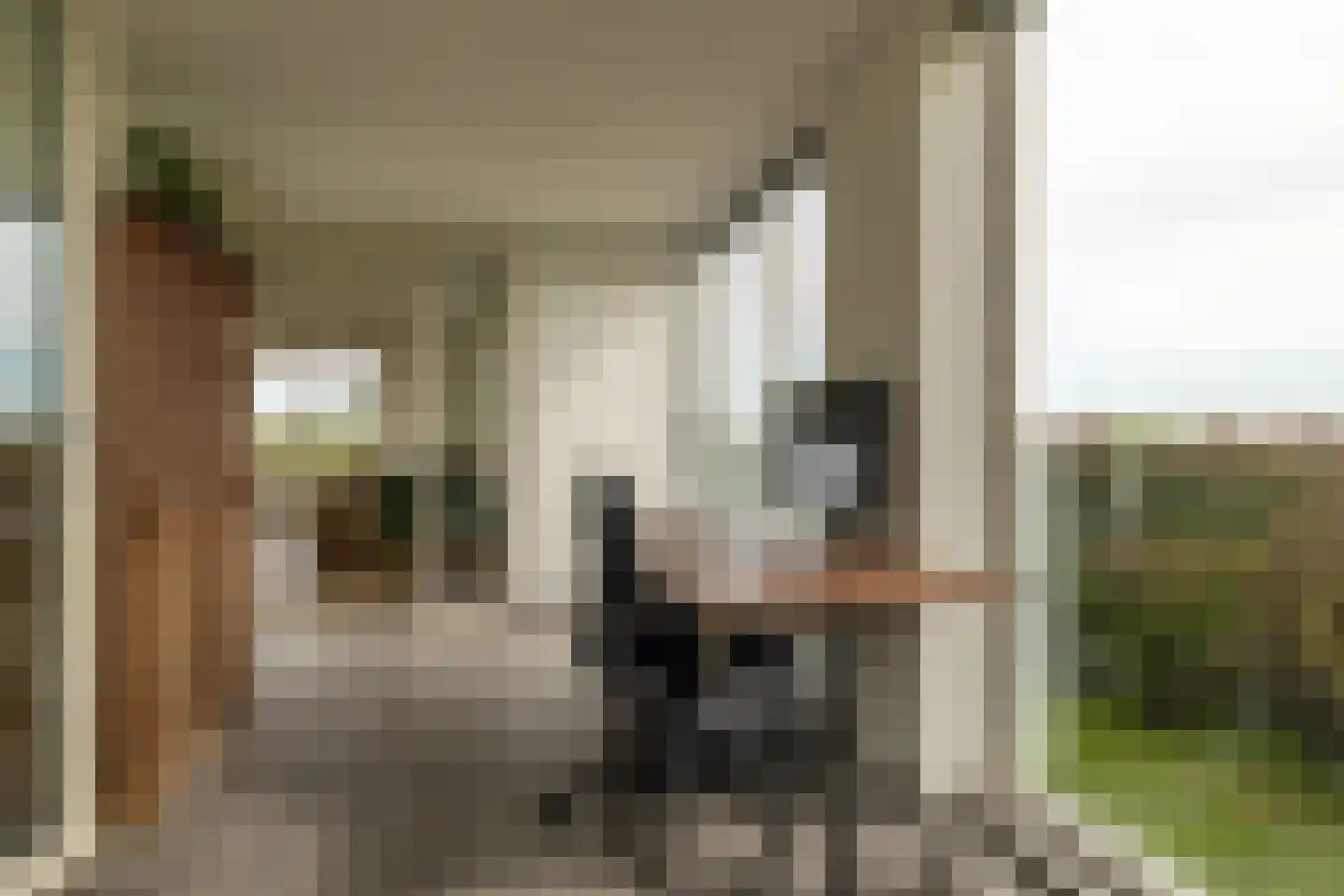 Skarl 21 Warns thumbnail 24