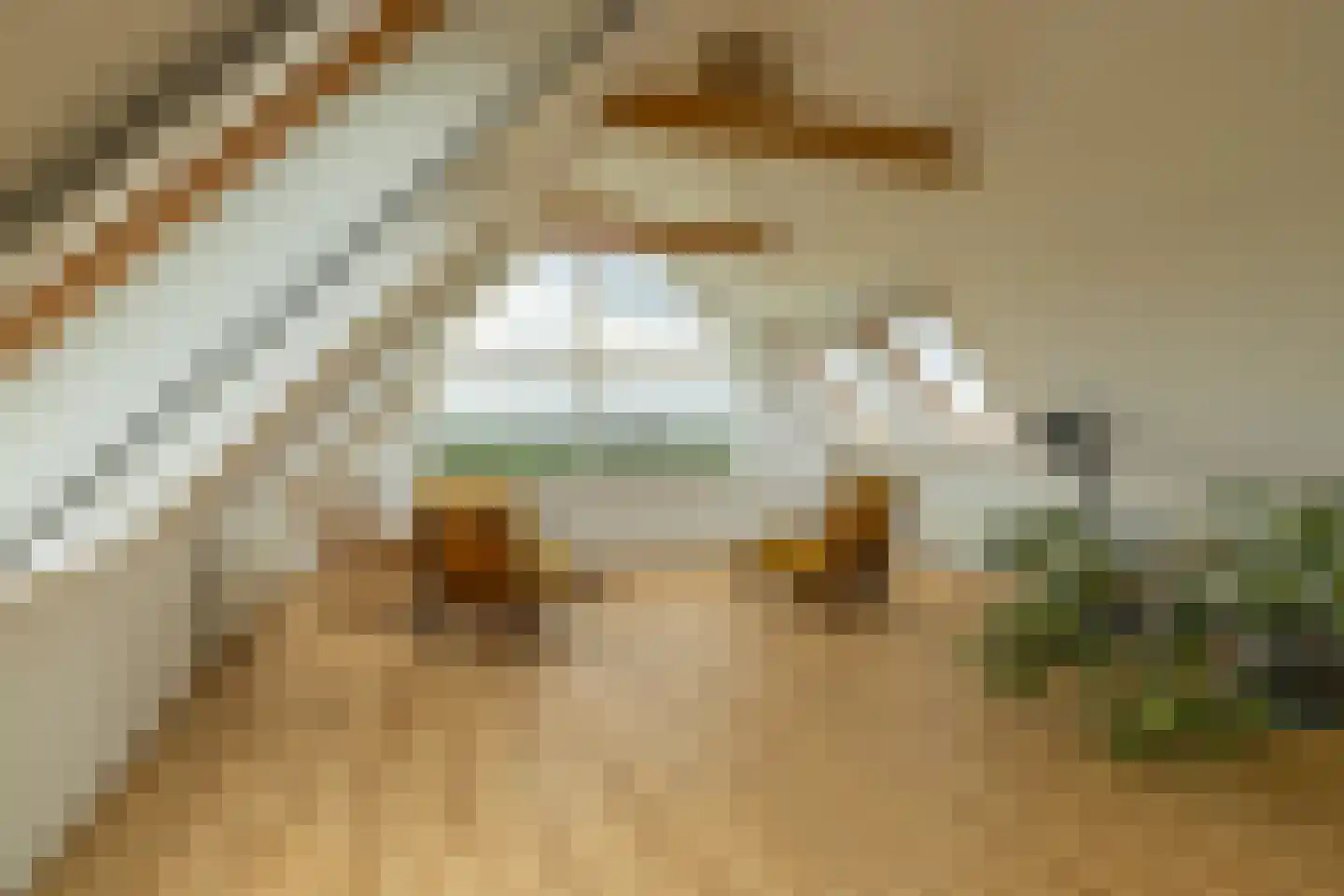 Skarl 21 Warns thumbnail 30