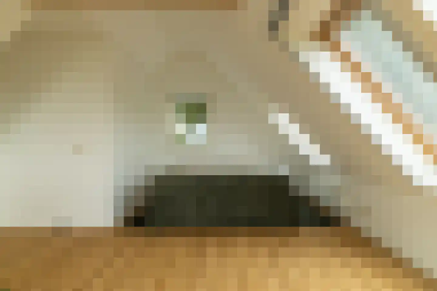Skarl 21 Warns thumbnail 32