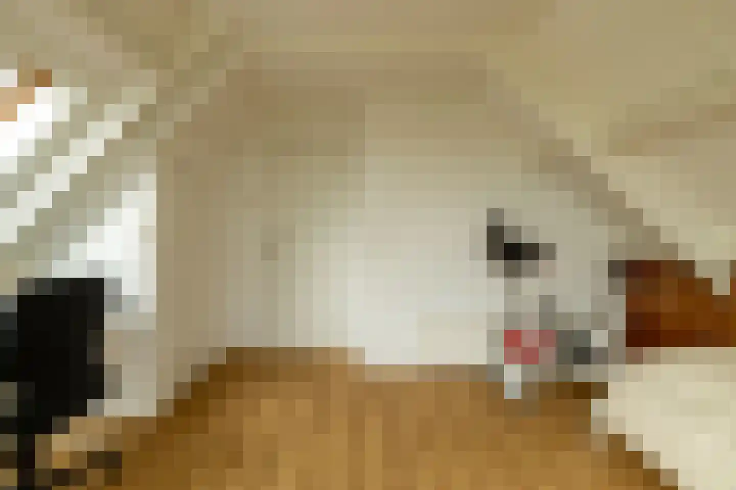 Skarl 21 Warns thumbnail 34