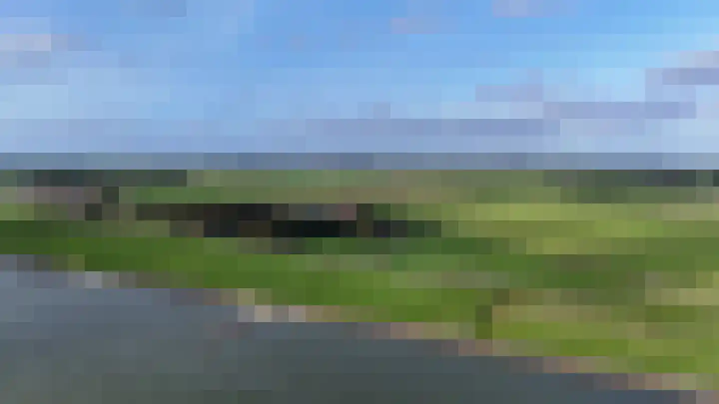 Skarl 21 Warns thumbnail 4