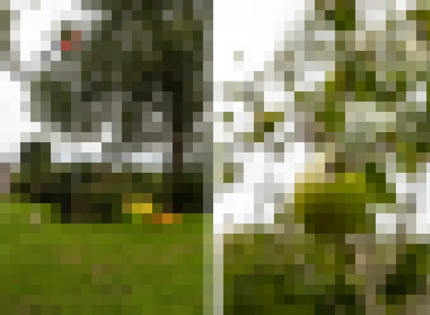 Skarl 21 Warns thumbnail 40