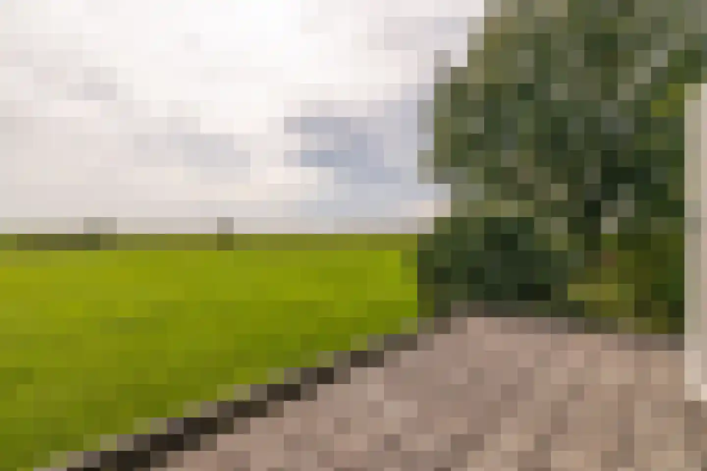 Skarl 21 Warns thumbnail 41