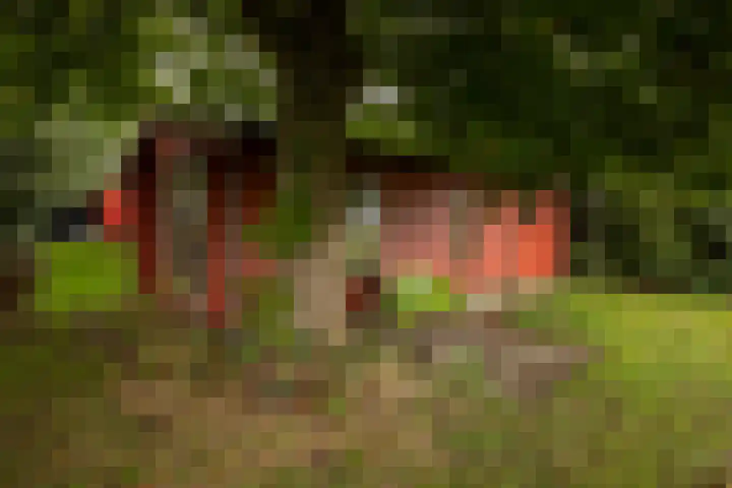 Skarl 21 Warns thumbnail 43