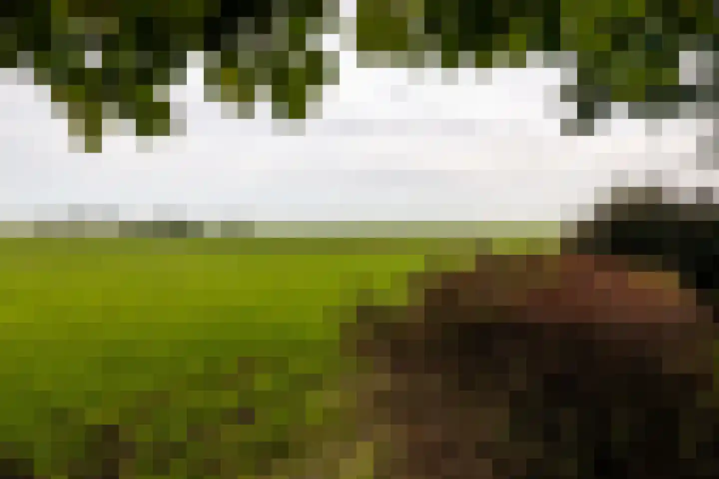 Skarl 21 Warns thumbnail 45