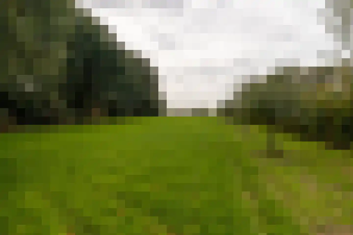 Skarl 21 Warns thumbnail 46