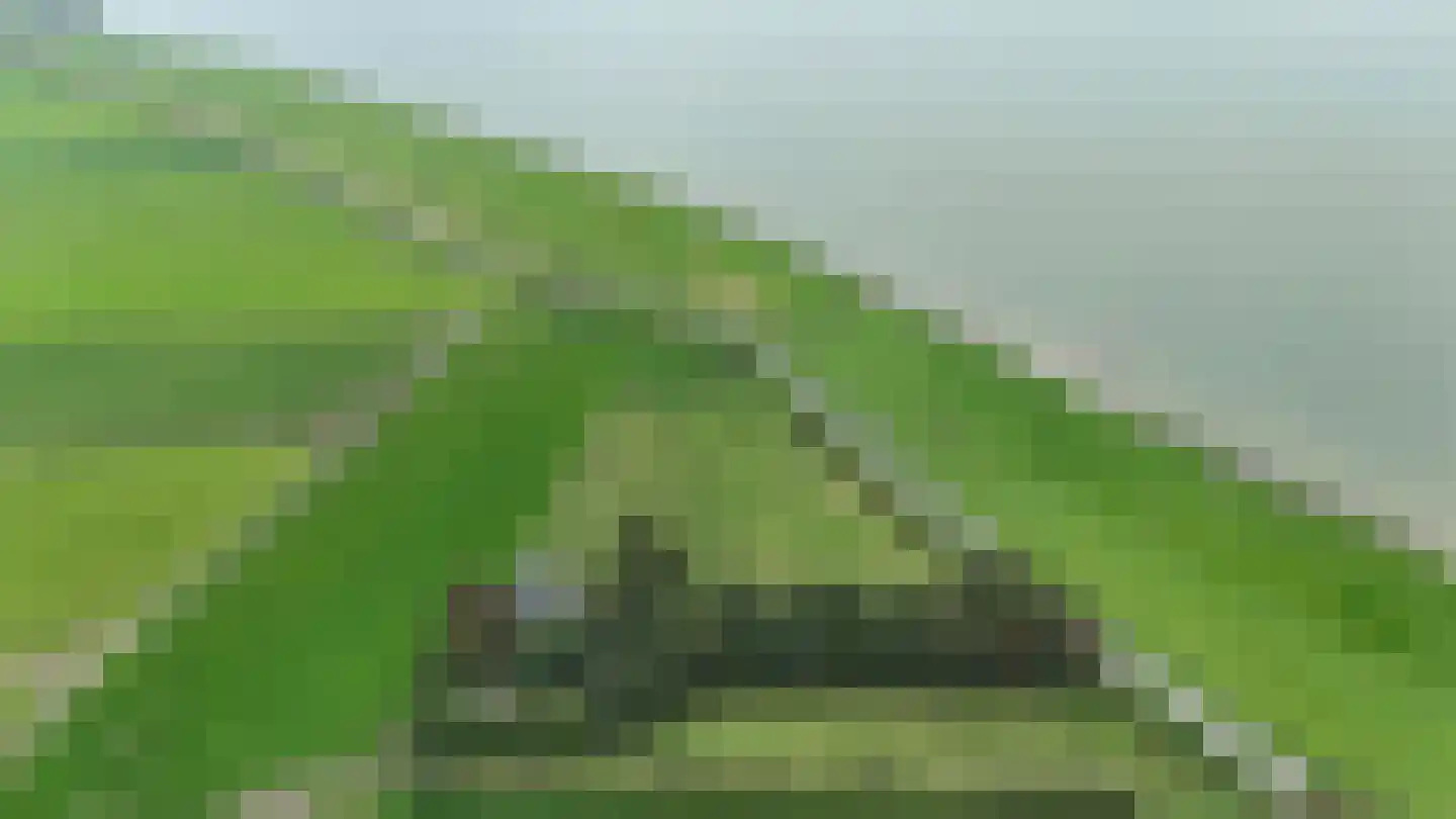 Skarl 21 Warns thumbnail 49