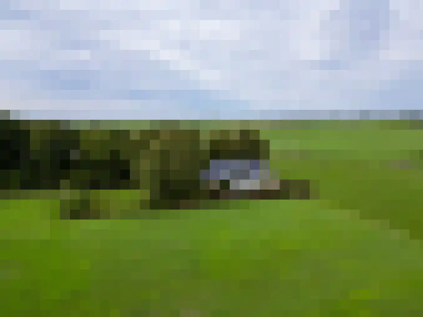 Skarl 21 Warns thumbnail 5