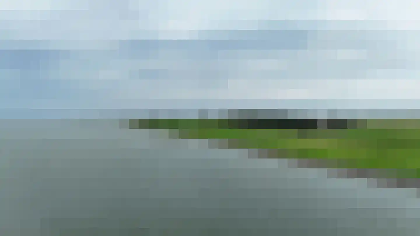 Skarl 21 Warns thumbnail 50