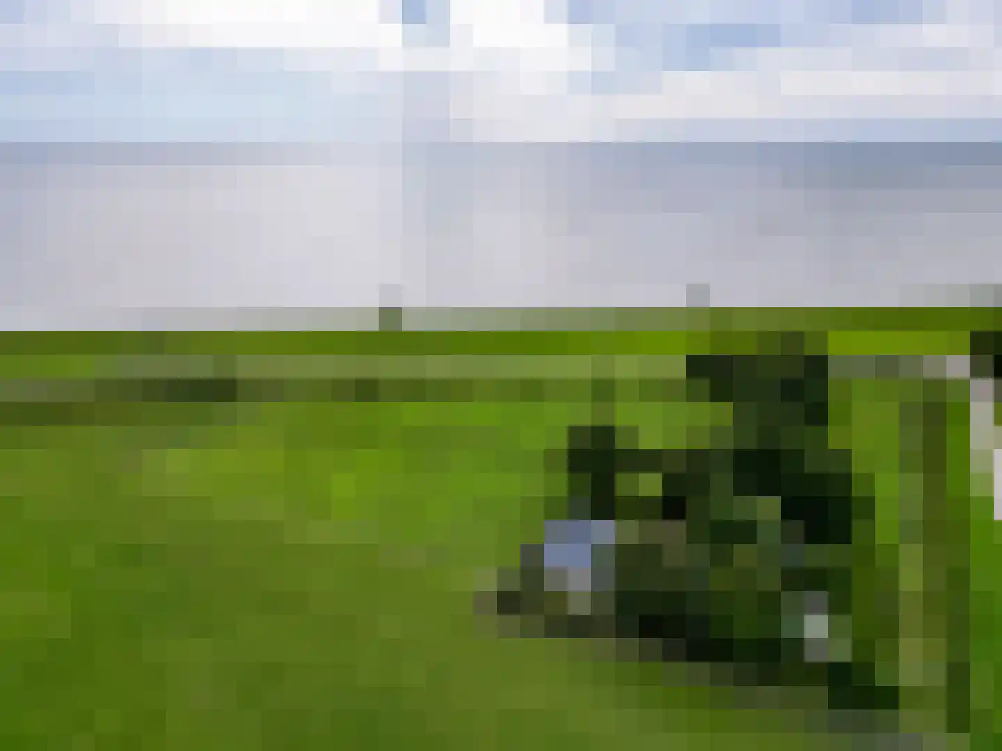 Skarl 21 Warns thumbnail 6