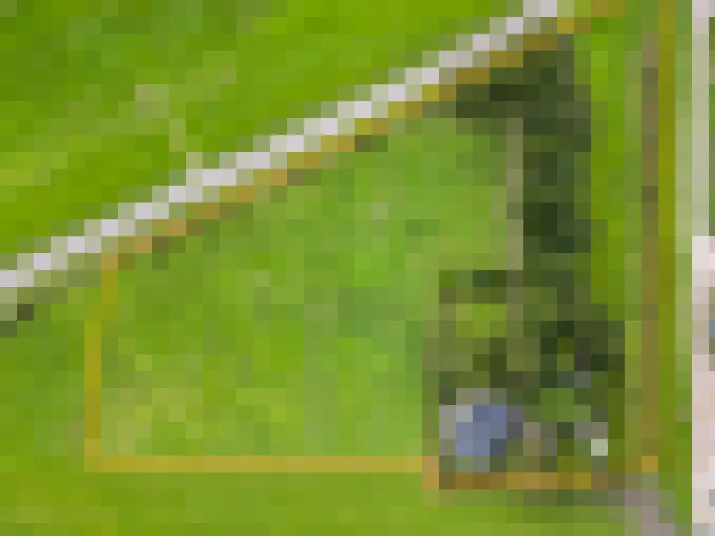 Skarl 21 Warns thumbnail 7